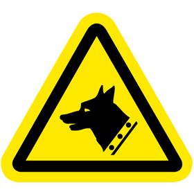 I6080